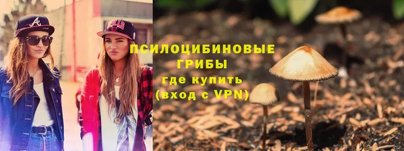 купить   Лангепас  Галлюциногенные грибы MAGIC MUSHROOMS 